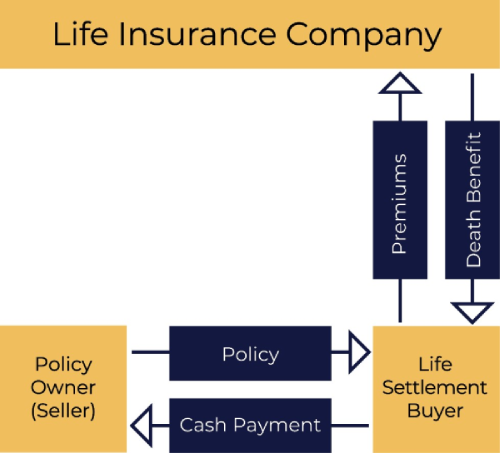 How life settlements work