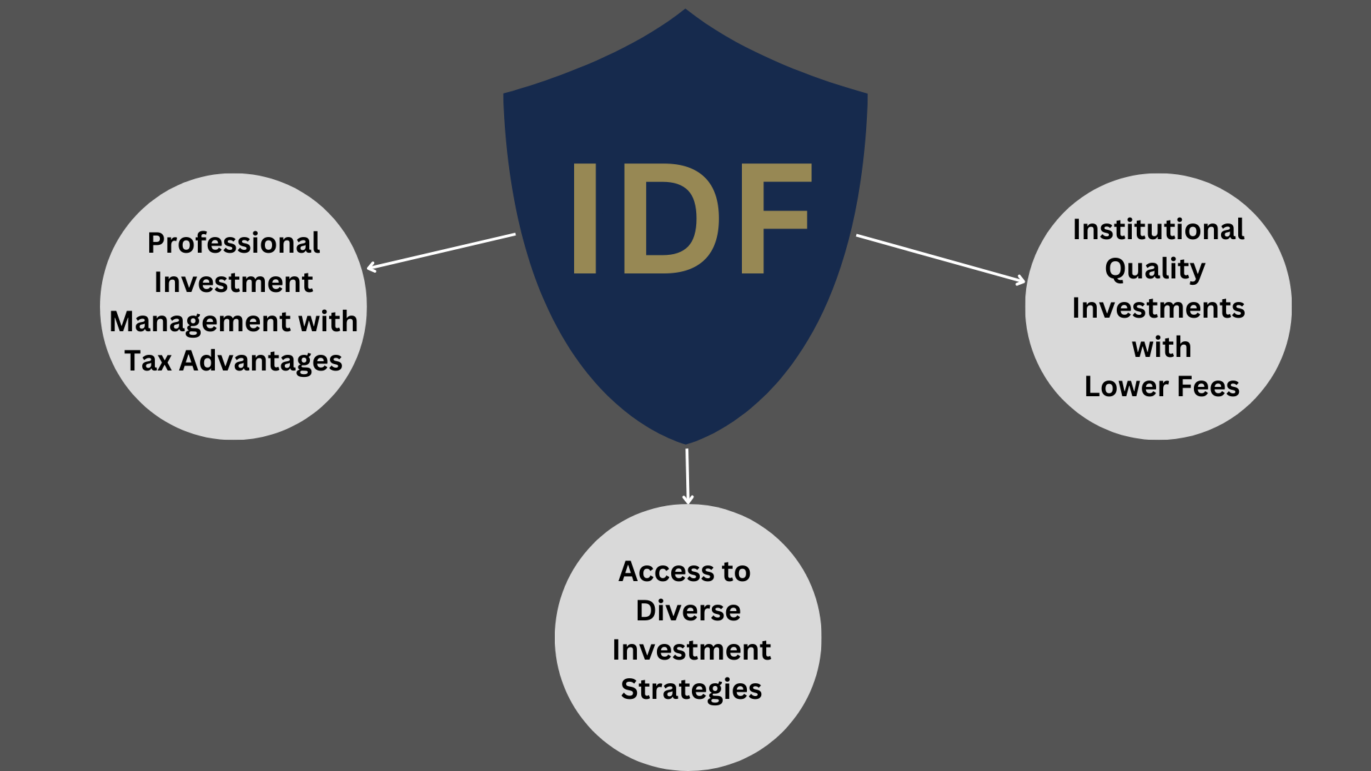 Insurance Dedicated Funds: Understanding Their Role in Private Placement Life Insurance